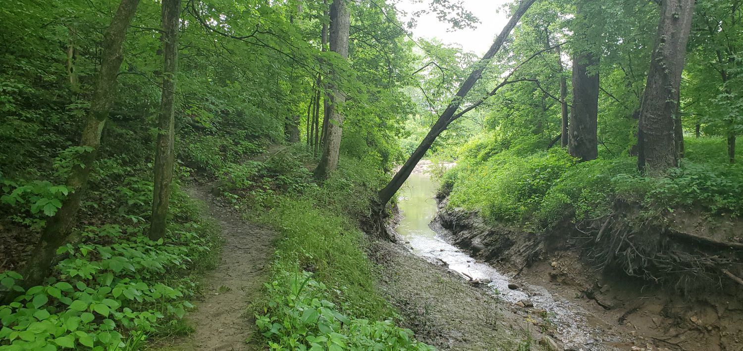 Fox Ridge State Park 